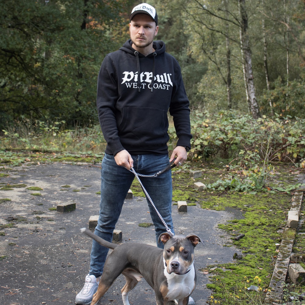 pit bulls in sweaters